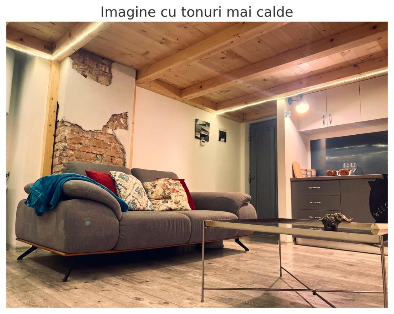 Central Cluj Apartament Екстериор снимка